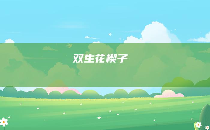 双生花楔子