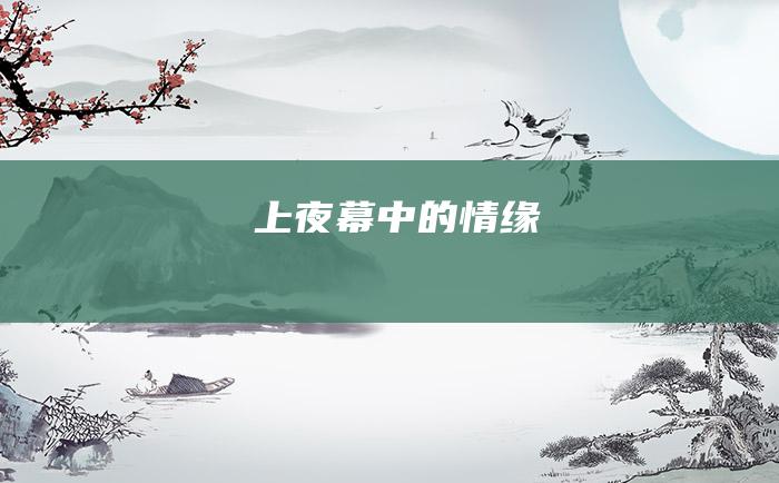 上 夜幕中的情缘