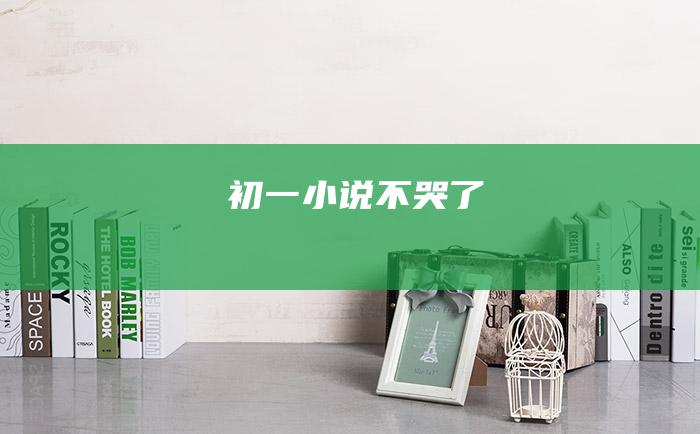 初一小说 不哭了