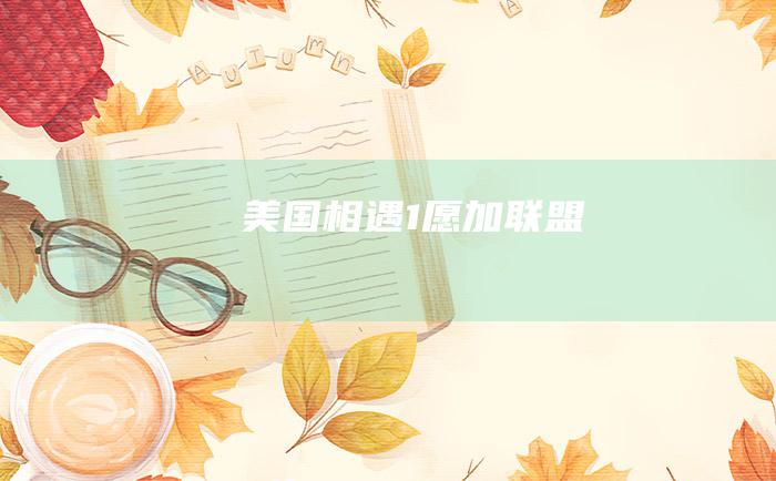 美国相遇 1 愿加联盟