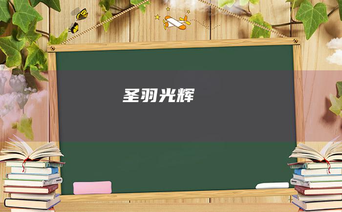 圣羽光辉