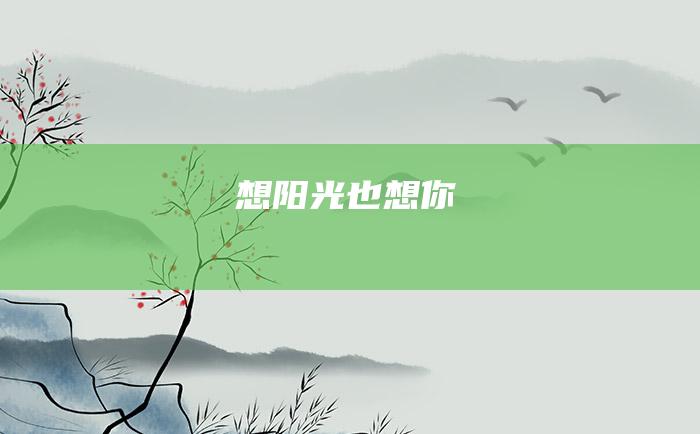 想阳光也想你