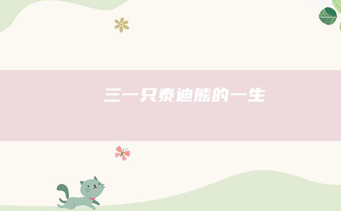 三 一只泰迪熊的一生