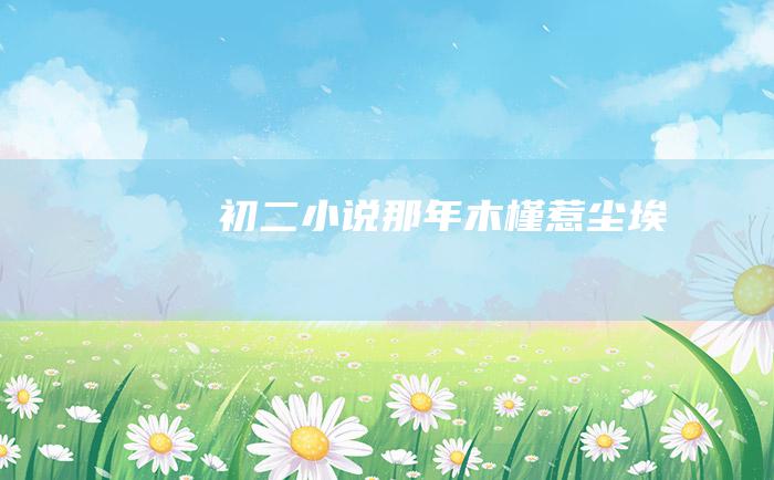 初二小说 那年木槿惹尘埃