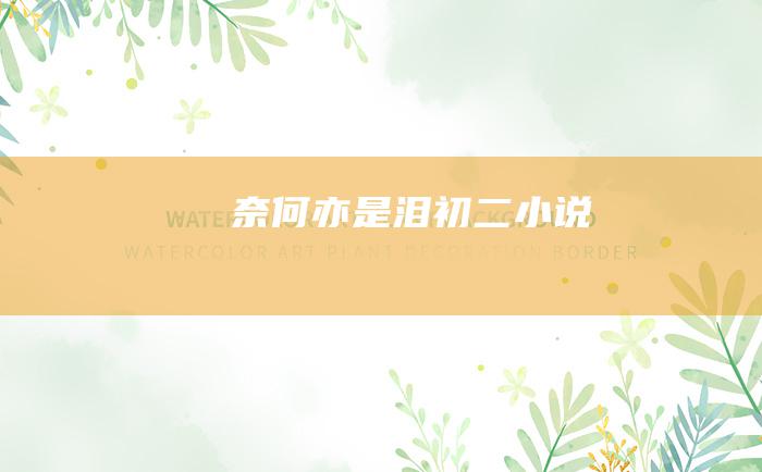 奈何亦是泪 初二小说