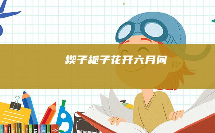 楔子 栀子花开六月间
