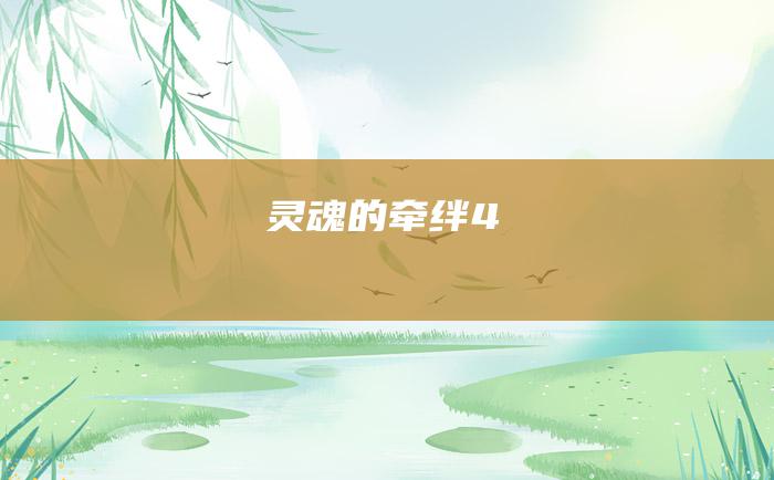 灵魂的牵绊4