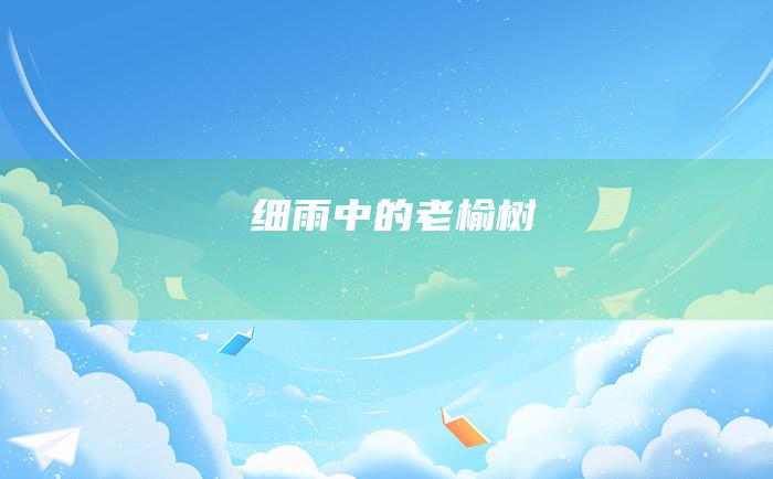 细雨中的老榆树
