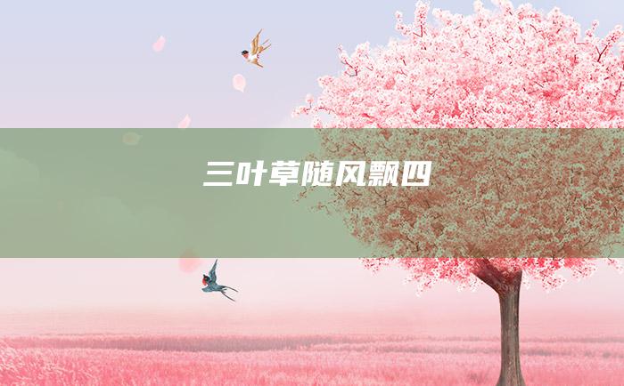 三叶草随风飘 四