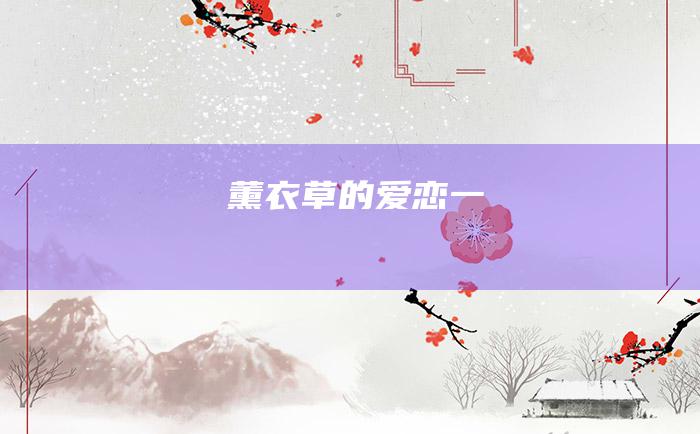 薰衣草的爱恋 一