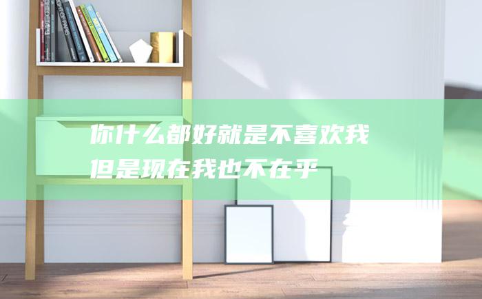 你什么都好就是不喜欢我但是现在我也不在乎