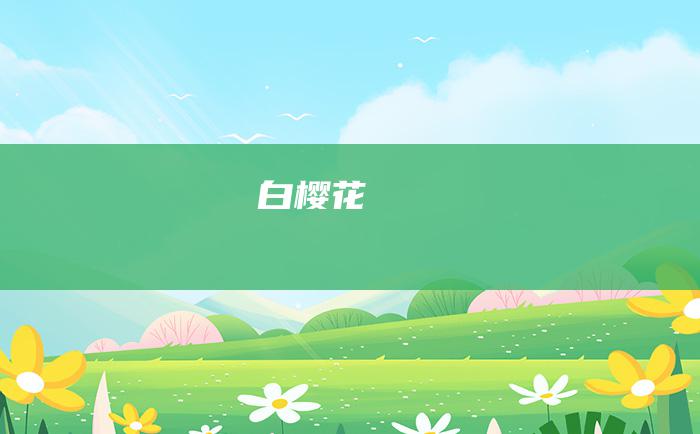 白樱花