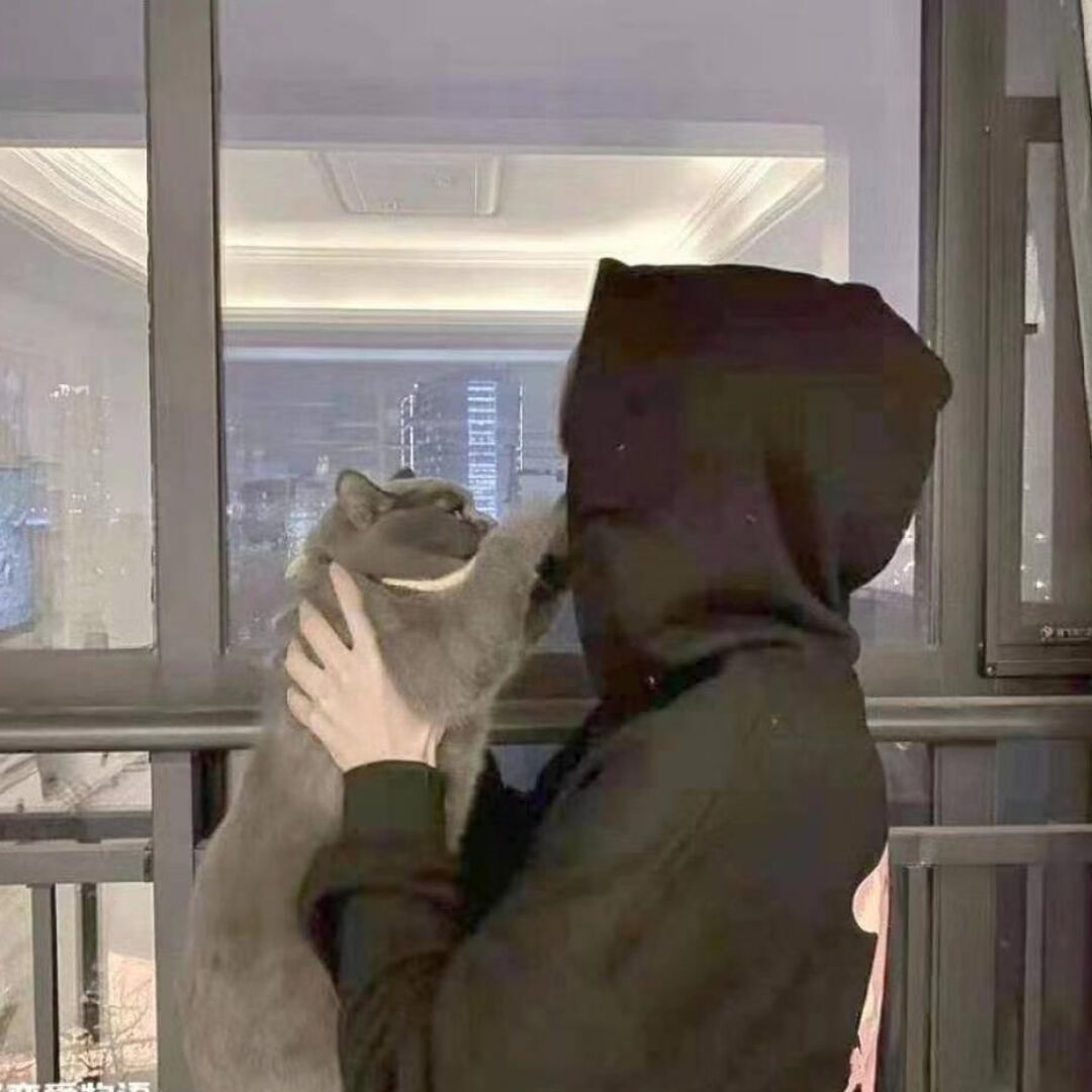 小6的个人分享站