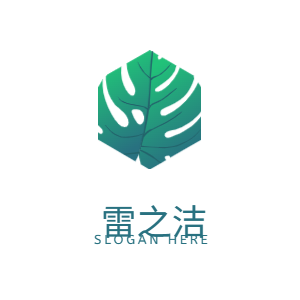 雷之洁