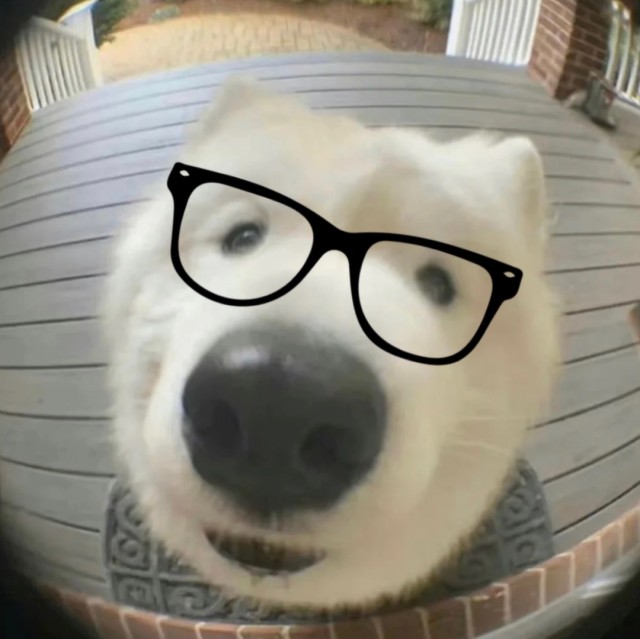 小歪的笔记仓库