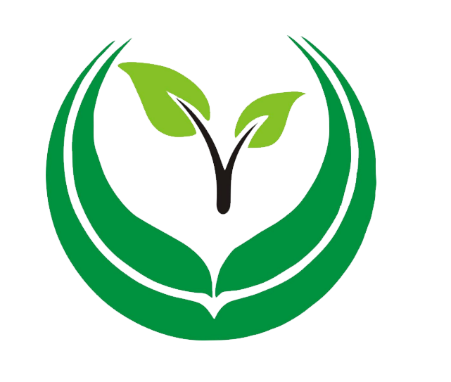 广西建筑模板价格