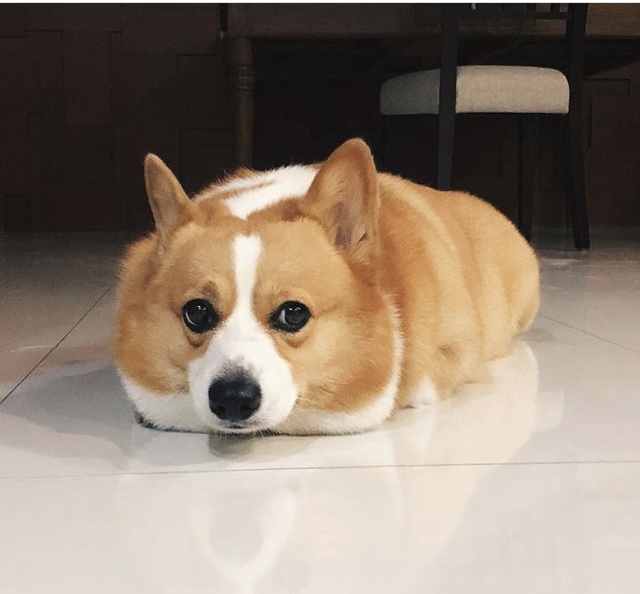 xlbの❤温馨小家❤