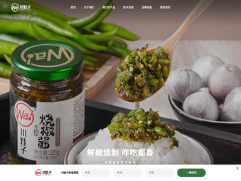 四川川娃子食品有限公司