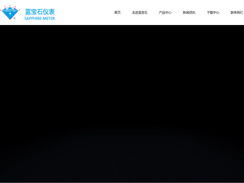 浙江蓝宝石仪表科技有限公司