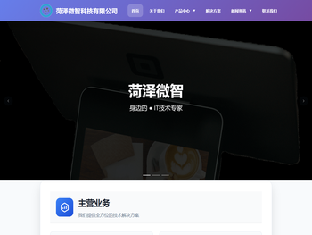 菏泽微智信息科技有限公司