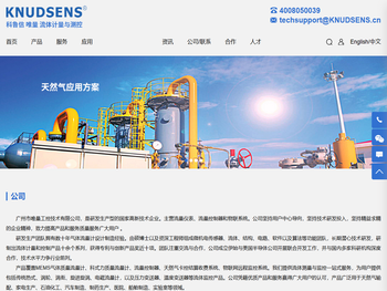 国产质量流量计