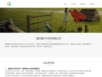 重庆墨未干科技有限公司