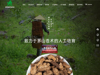 提供茅山苍术人工培育解决方案