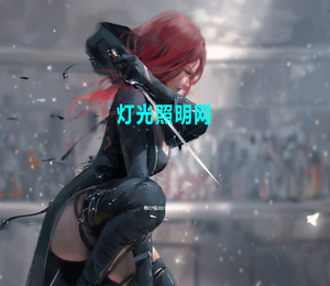灯光照明网
