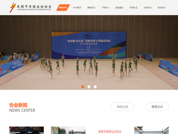 成都市体操协会,成都体操锦标赛,成都艺术体操