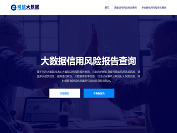 网信大数据查询平台