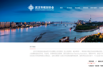 武汉市规划协会