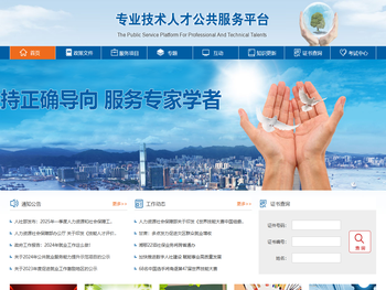专业技术人才公共服务平台