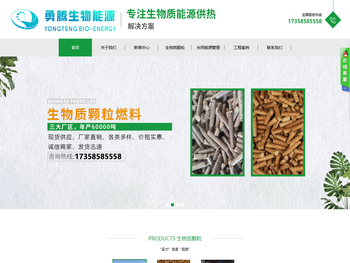 乐山勇腾生物能源有限公司