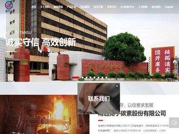 南通扬子碳素股份有限公司