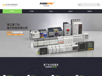 浙江普丁杜电子科技有限公司