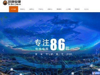 塔牌电缆欢迎您