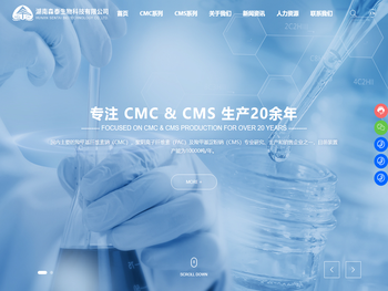 湖南涂料级CMC生产厂家