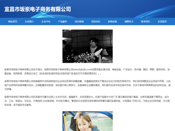 宜昌市坂岽电子商务有限公司