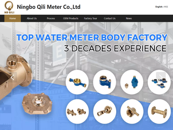 宁波市奇力仪表有限公司