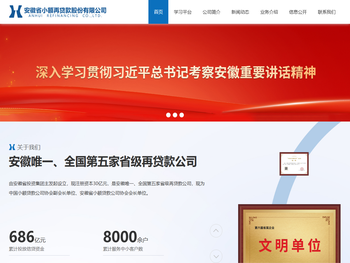 安徽省小额再贷款股份有限公司