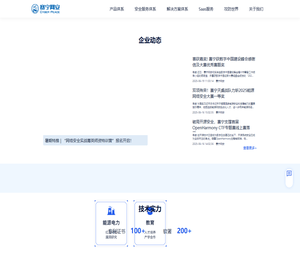 赛宁网安