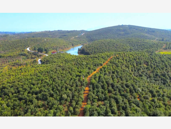 湖南大三湘茶油股份有限公司