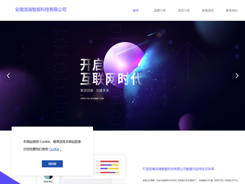 安徽龙瑞智能科技有限公司