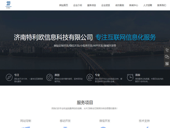 济南特利欧信息科技有限公司