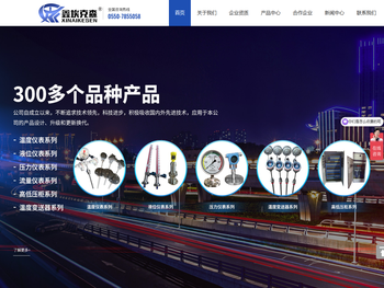 安徽埃克森仪表有限公司