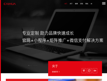 青岛才华科技有限公司