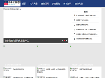 渝中区音迪娱网络技术工作室（个体工商户）