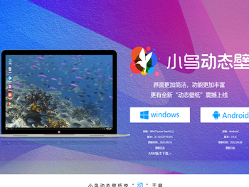 小鸟动态壁纸官网