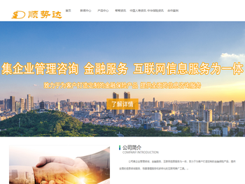 顺势达通（天津）信息技术有限公司