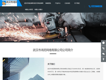 武汉市鸿尼网络有限公司